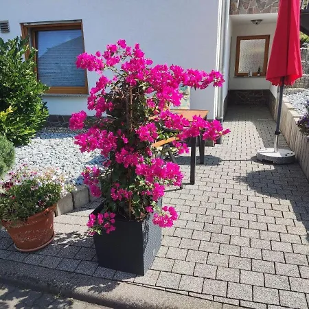 Apartment Moselzeit