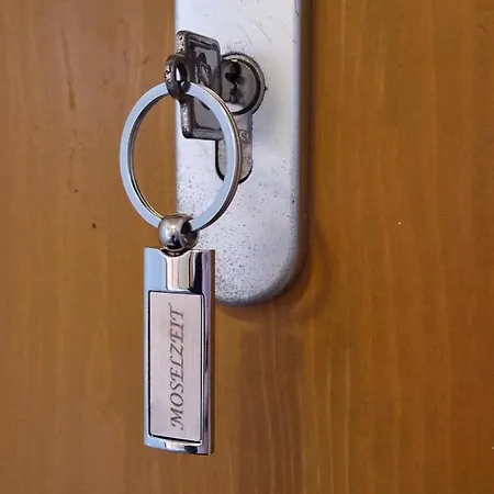 Apartment Moselzeit *